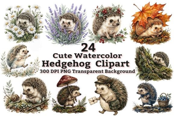 Download Cute Watercolor Hedgehog Clipart Bundle - Hedgehog clipart Collection