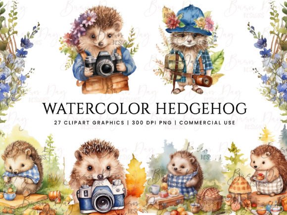 Download Watercolor Hedgehog Clipart Bundle - Hedgehog clipart Collection
