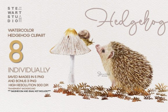 Download Watercolor Hedgehog Clipart - Hedgehog clipart Collection