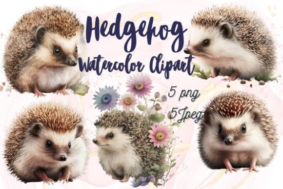 Download Watercolor Hedgehog Clipart Sublimation - Hedgehog clipart Collection