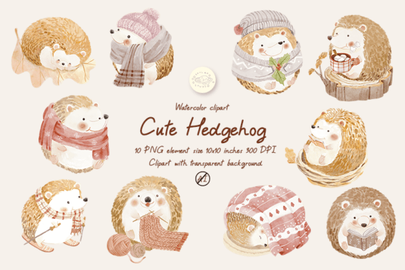 Download Watercolor Cute Hedgehog Clipart - Hedgehog clipart Collection